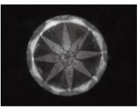 3AM-low-angle-direct-ring-example-application-1